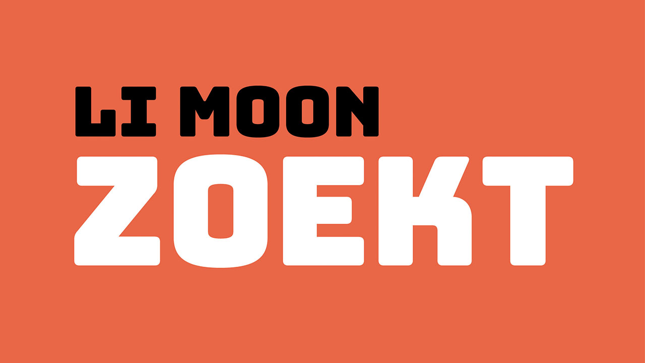 Vacatures van Li Moon in Haarlem